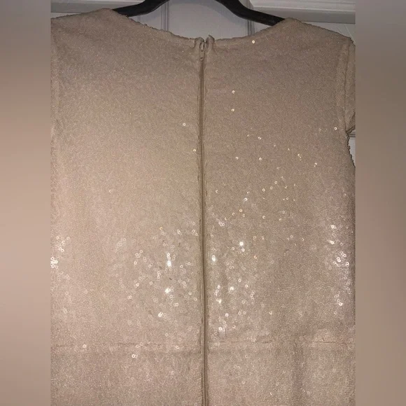 Windsor Shiny sequin maxi dress champagne low cut gown - Picture 5 of 7